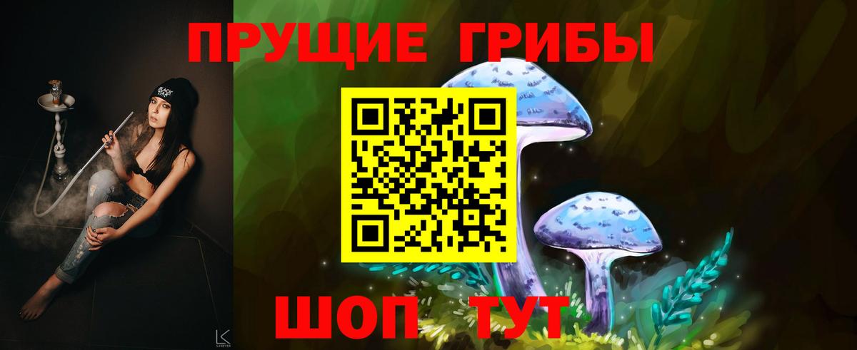 Галлюциногенные грибы Psilocybe  Вход с VPN  купить  цена  Черняховск  Галлюциногенные грибы Cubensis 